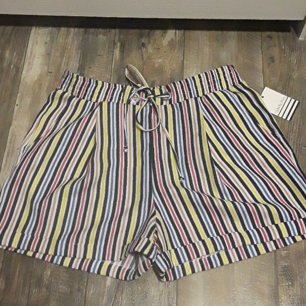 Multi-Color Striped Linen Shorts